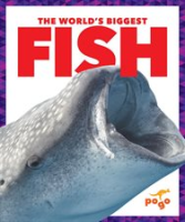 The_World_s_Biggest_Fish